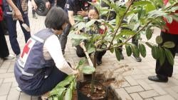 Kolaborasi SRC dan PMI Solo Hadirkan Pelatihan hingga Penanaman Pohon di SMPN 11 Surakarta