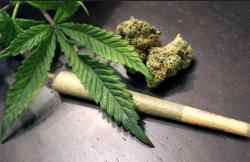 Berapa Lama Efek Ganja Bertahan? Fakta Ini Perlu Kamu Ketahui