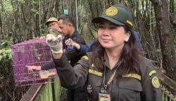 334 Burung Liar Diselundupkan Lewat Merak, Karantina Banten Gagalkan Aksi Tanpa Dokumen!