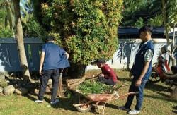 Bupati Bengkulu Utara Pimpin Jumat Bersih Di Pasar Purwodadi 