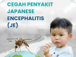 Waspada Japanese Encephalitis, Penyakit Langka yang Bisa Sebabkan Kematian Jika Tak Segera Ditangani