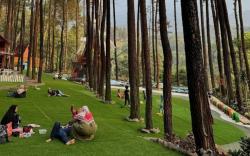 Perang Israel-Iran Memanas, Indonesia Masuk Daftar Negara Teraman di Dunia Versi Global Peace Index