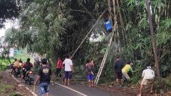 Sekda Banyumas Bersama Warga Gotong Royong Tebang Pohon Yang Mengangu Akses Jalan