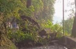 Paska Bencana Longsor di Telaga Ngebel Ponorogo, BPBD Kerahkan Alat Berat