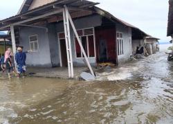 Halmahera Selatan Darurat: Banjir-Longsor Paksa Ribuan Warga Mengungsi, Jembatan Amblas