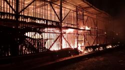 Kebakaran Kandang Ayam di Ciamis, 60 Ribu Ekor Tewas Terpanggang, Kerugian Capai Rp2,5 Miliar
