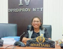 Ana Waha Kolin Tinjau Proyek Jembatan Bliko di Flores Timur: Harap Proyek Sesuai Prosedur