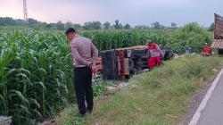 Truk Bermuatan Kayu Terjun ke Sawah di Jombang, Gara-Gara Disalip Mobil Boks di Tikungan Tajam