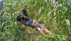 Tragis! Kakek Tewas Kesetrum Kabel Jebakan Hama di Kebun Jagung Warga Gowa, Keluarga Lapor Polisi