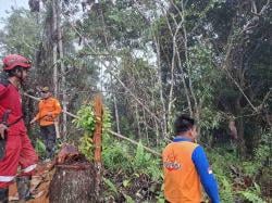 Operasi SAR Warga Hilang di Hutan Batu Dinding Resmi Ditutup, Korban Masih Belum Ditemukan