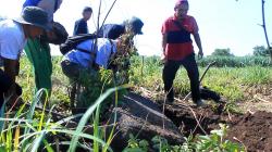 Diduga Sisa Candi, Arca dan Artefak Kuno Ditemukan di Prambon Nganjuk