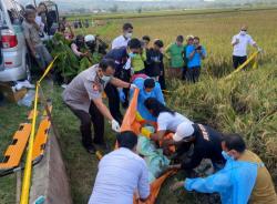 Perempuan Muda yg Tewas di Sawah Ternyata Dibunuh Kekasihnya Sendiri Setelah Cekcok