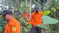 Warga Hilang di Hutan Batu Dinding, Tim SAR Gabungan Lanjutkan Pencarian