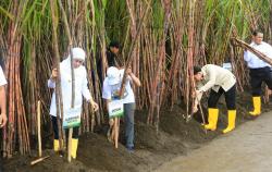 Produksi Gula Jatim 2025 Diprediksi Tembus 1,4 Juta Ton, Semakin Perkasa Jadi Lumbung Gula Nasional