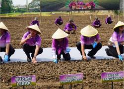 Dukung Desa Maju dan Bebas Korupsi, Pemkab Pandeglang Teken 2 MoU Penting Sekaligus!