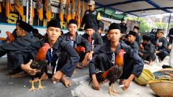 Ribuan Calon Warga SH Terate Sragen Jalani Tes Jago Selama Tiga Hari, Berjalan Aman dan Kondusif