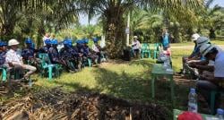 PLN Edukasi Petani Bahaya Listrik Saat Panen Sawit