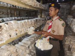 Berlatih Wirausaha Dan Dukung Ketahanan Pangan, Saka Wanabakti Kwarcab Grobogan Budidaya Jamur
