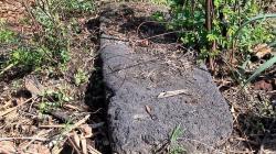 Minim Anggaran, Pelestarian Cagar Budaya di Nganjuk Terancam