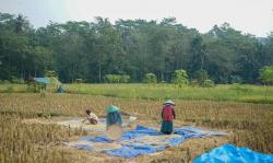 Komitmen DPR RI Bantu Petani Tingkatkan Produktivitas Pertanian di Kuningan