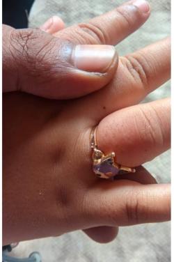 Respons Kilat BPBD Sidoarjo, Evakuasi Dua Cincin dan Sarang Tawon Vespa dalam Sehari