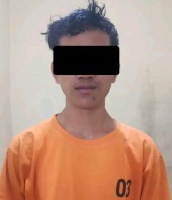 Diduga Setubuhi Anak Dibawah Umur, Seorang Pelaku asal Lampung Tengah Diamankan Polisi 