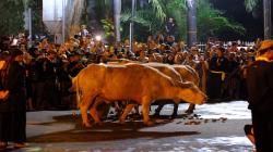 Kirab Malam 1 Suro di Keraton Solo dan Pura Mangkunegaran Berjalan Khidmat