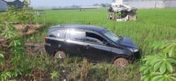 Ya Ampun Mobil Sigra Tiba-tiba Parkir di Sawah Majalaya