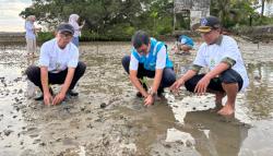 Cegah Abrasi di Pesisir Sultra, PLTMG Baubau Tanam 550 Bibit Mangrove