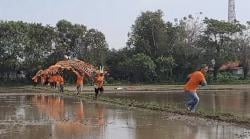 Festival Layangan Meriahkan Langit Pantura Subang di Libur Panjang Tahun Baru Hijriah