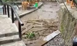 Air Bah Bercampur Material Kayu di Aliran Sungai Gunung Raung Hebohkan Warga