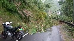 Longsor di Tapal Kuda Lumpuhkan Jalan Raya Garut-Tasikmalaya, Hujan Deras Jadi Pemicu Utama