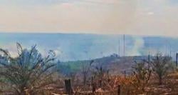 40 Hektare Hutan Lindung Bukit Suligi Rohul Terbakar