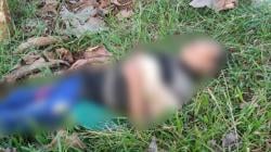 Diduga Dipatuk Ular, Warga Cibogo Tewas saat Cari Ikan di Pagaden