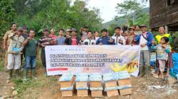 Melalui Budidaya Lebah Madu, DLHK Sumut dan PETAI Kuatkan Ekonomi Lokal Sambil Kurangi Emisi