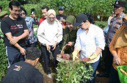 Perkuat Ketahanan Pangan, Agustina, Wali kota Semarang Manfaatkan Lahan Kosong untuk Tanam Singkong