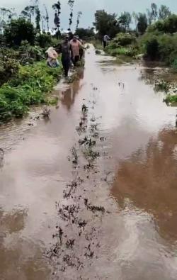 Banjir Terjang Desa Jampit Ijen Akibatkan Ladang Pertanian dan Akses Air Bersih Rusak