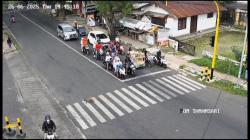 Lucu tapi Menginspirasi: Kucing Bondowoso Menyeberang Zebra Cross Saat Lampu Merah