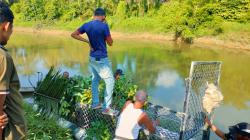 Buaya Pemangsa di Sungai Peureulak Masih Berkeliaran, Warga Takut Cari Nafkah