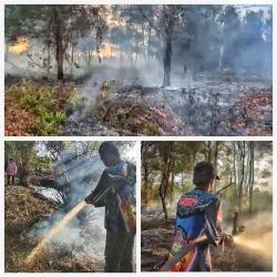 Kebakaran Lahan Gambut terjadi di Dua Lokasi Berbeda, Api Merembet ke Kebun Sawit Warga