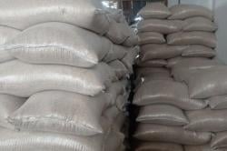 Stok Beras Lebak Dipastikan Aman Sampai Awal 2026, Surplus Capai Ratusan Ribu Ton