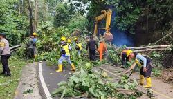 Tebing Setinggi 15 Meter Longsor di Kalipucang Pangandaran, Lalin Diberlakukan Sistem Buka Tutup