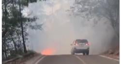 Karhutla Landa Menara Pandang Tele, 50 Hektare Lahan Terbakar