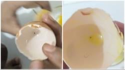 Heboh Warga Kolaka Utara Temukan Telur Ayam Diduga Palsu