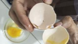 Hati-Hati! Telur Ayam Diduga Palsu Beredar Luas, Rasanya Mirip Karet dan Berbahaya untuk Kesehatan