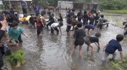 Libur Sekolah Tanpa Gadget, Anak-Anak Belajar Membajak Sawah dan Bermain Tradisional di Sariater