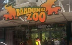 Ricuh! Karyawan Kebun Binatang Bandung Duduki Kantor Yayasan Margasatwa Tamansari