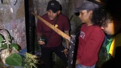 Residivis Diringkus, Tanam Ganja di Kamar Mandi