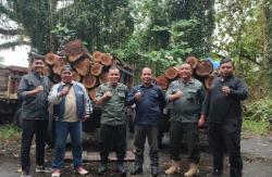 Aksi Sigap Perhutani Gagalkan Pembalakan Liar di Hutan Banyuwangi, 27 Batang Kayu Jati Disita