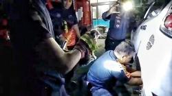 Penyelamatan Dramatis Anak Kucing Terjebak di Dasbor Mobil oleh Damkar Palangka Raya